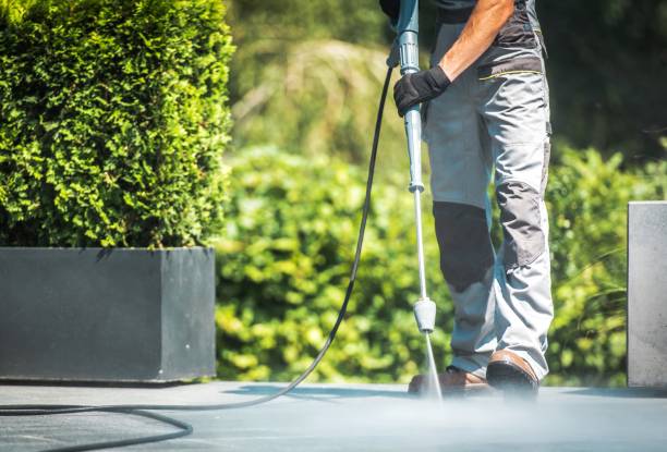 Best Solar Panel Cleaning  in Loma Ri, CA