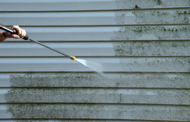 Best Driveway Pressure Washing  in Loma Ri, CA